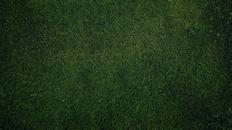 Текстура газон трава зелень обои для рабочего стола картинки фото