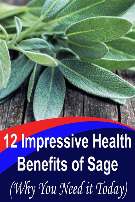 12 Impressive Health Benefits Of Sage Why You Need It Today In 2022