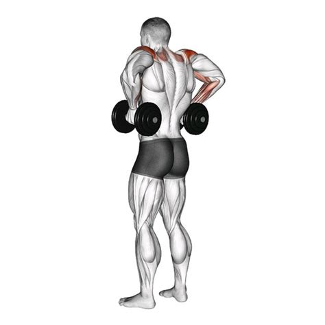 Dumbbell Armpit Row By John M Exercise How To Skimble