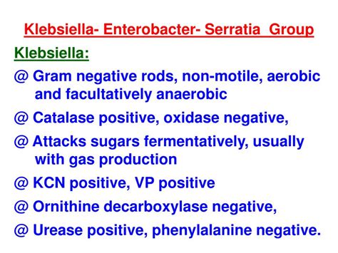 PPT Klebsiella Enterobacter Serratia Group Klebsiella Gram Negative Rods Non Motile