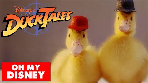 Ducktales Theme Song With Real Ducks Oh My Disney Irl Acordes Chordify