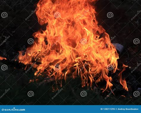 Bright Flame Of Wildfire Fire Stock Image Image Of Background Ignite