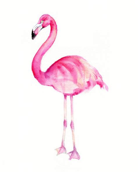 Pretty Art Fresh Pink Watercolor Pastel Flamingos Rose Et