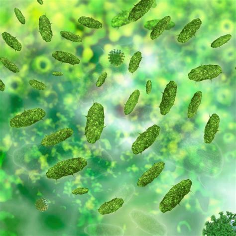 Copper kills bacteria in hospital rooms