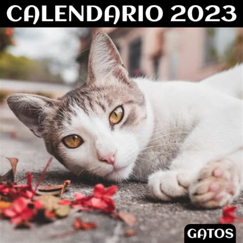 Buy Io 2023 En Español Gatos Io De España 2023 Io De 12 Meses Con