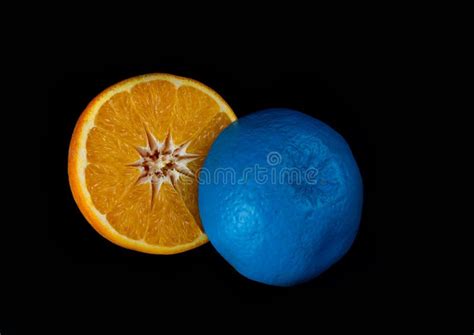 Slices Of Blue And Orange Fresh Citrus Orange Fruit Stock Image Image