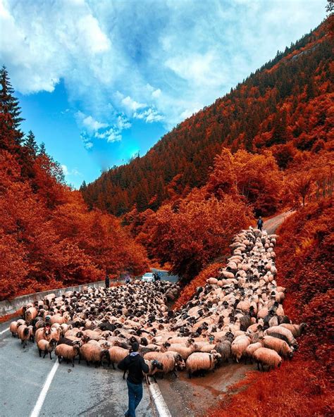 Autumn Maçka Trabzon Turkey Photo By Cemil Sahin Best Places