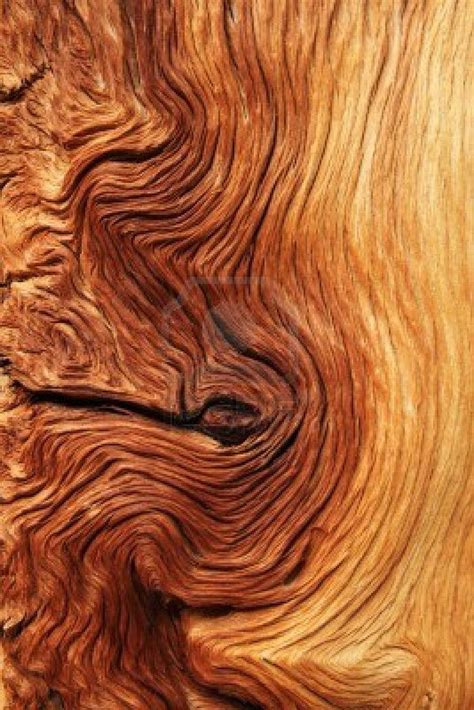 Imagem Relacionada Wood Patterns Patterns In Nature Textures Patterns Henna Patterns Tree