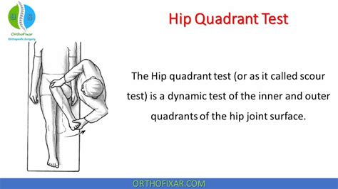 Hip Scour Test