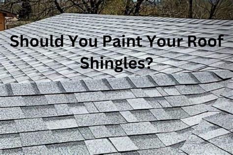 The Pros And Cons Of Painting Roof Shingles Outdoor Storage Options