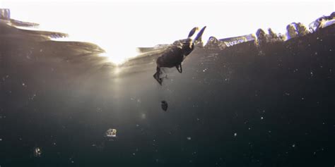 Why Do Scuba Divers Fall Backwards When Diving Christophe Garon