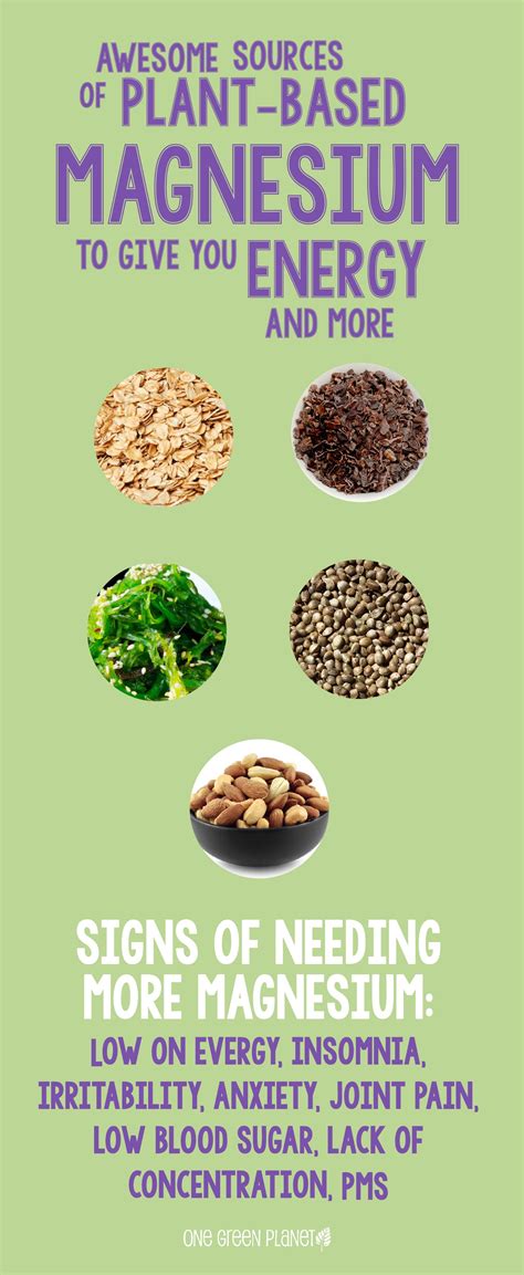 5 Awesome Sources Of Plant Based Magnesium To Give You Energy And More Diet And Nutrition