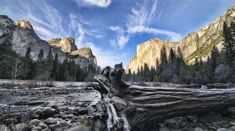 1920x1080 Forest Rocks Tree Dead Mountains River Sky