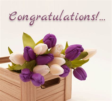 Congratulations Happy For You Free For Everyone Ecards Greeting