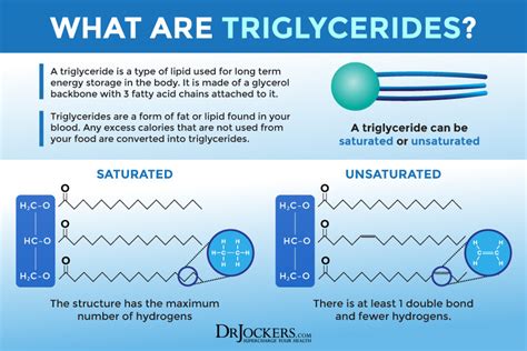 High Triglycerides Root Causes And Natural Support Strategies