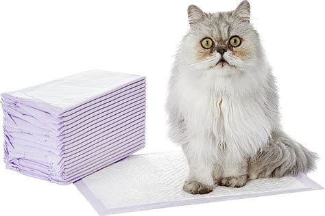 Amazon Basics Cat Litter Box Pads Lemon Scent Pack Of 20 Purple