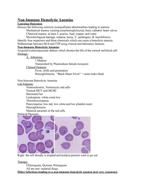 Non Immune Hemolytic Anemias Non Immune Hemolytic Anemias Learning