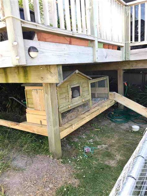 Poulailler 16m2 - Poulailler - Plumeuse - Accesoires