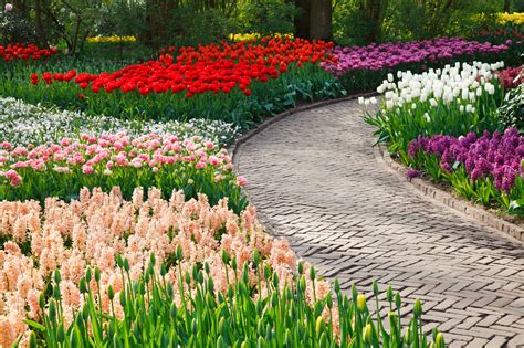 Path Among Flowers Free Stock Photo Public Domain Pictures