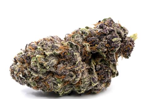 Purple Urkle Strain Review The Lodge Cannabis Denver