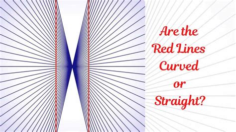 Visual Optical Illusion Test Are The Red Lines Straight Or Curved