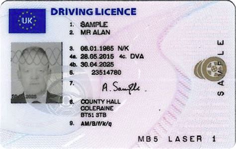 Motorists Can Have Name On Driving Licence In Irish The Irish News