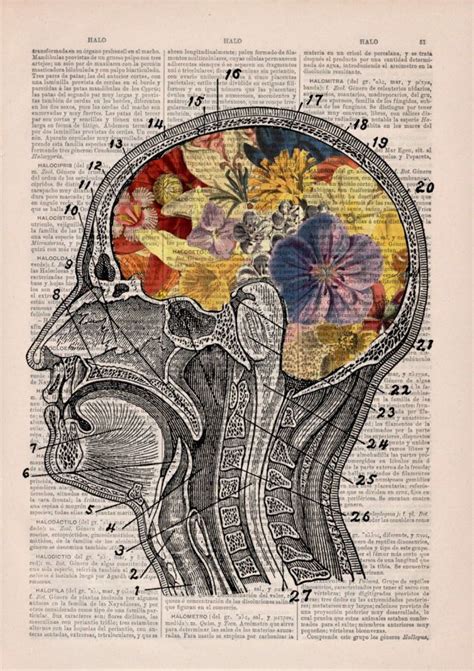 Pin De Morgan Jones En Aesthetic Arte Cerebro Arte De Anatomía Y