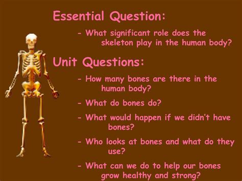 Ppt The Human Skeletal System Powerpoint Presentation Free Download
