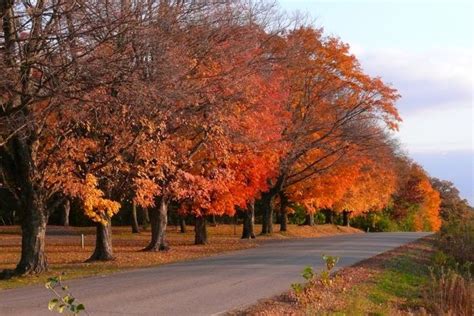 10 Country Roads In Minnesota That Are Pure Bliss In The Fall Country