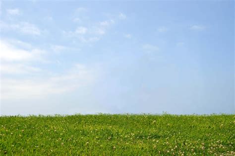 Grass And Sky Stock Photo Premade Background By Annamae22 On Deviantart