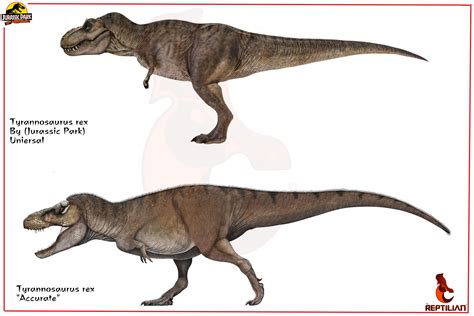 Jurassic Park Tyrannosaurus Rex Comparison Jurassic Park Know Your Meme