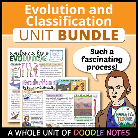 Evolution And Classification Unit Bundle Doodle Notes Emmatheteachie