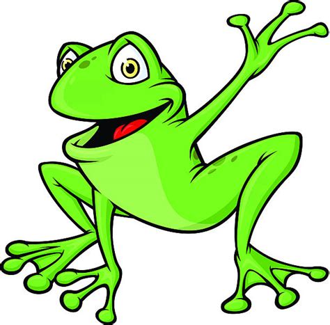 Water Frog Illustrations Royalty Free Vector Graphics And Clip Art Istock