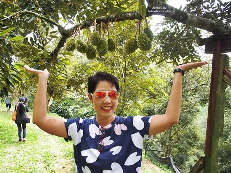 If you were worried that you won't be able to enjoy the cheap and delectable musang king durians. Follow Me To Eat La - Malaysian Food Blog: DURIAN ...