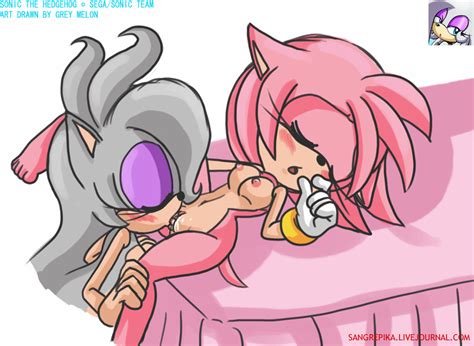 Rule 34 Amy Rose Anthro Blush Color Cunnilingus Female Female Only