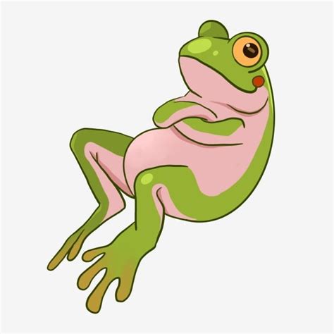 Frog Illustration Hd Transparent Lying Frog Cartoon Illustration Frog