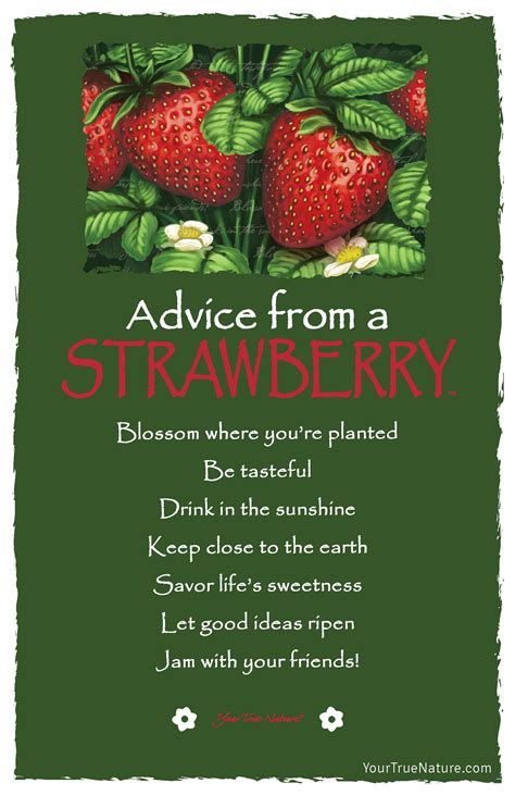 Advice From A Strawberry Postcard Your True Nature Advice Quotes