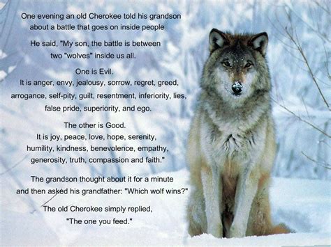 One Of My All Time Favorite Quotes Wolf Spirit Wolf Quotes Animal
