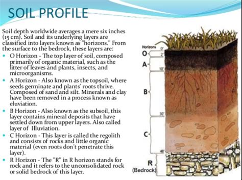 Soil Profile All About Soil