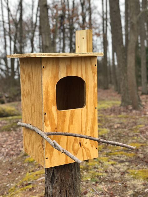 Pine Barred Owl Nest Box Custom Options Available Etsy