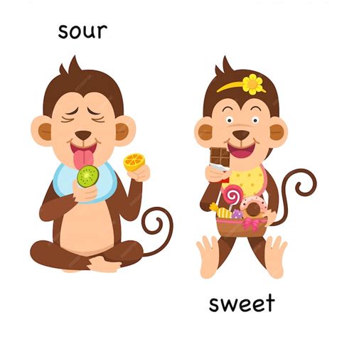 Free Vector Opposite Adjectives With Sweet And Sour