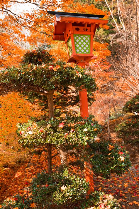 Autumn Leaves Viewing Japan Photo Tour Blain Harasymiw Photography