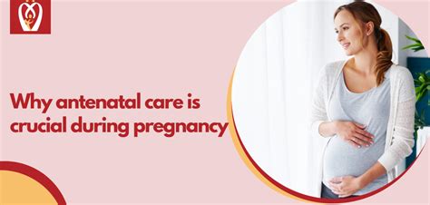 Why Antenatal Care Is Crucial During Pregnancy Nurturey Blog