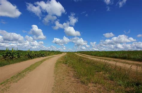 Dirt Road In A Wide Field With Green Grass Against A Blue Sky With