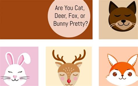 Are You Cat Deer Fox Or Bunny Pretty Heywise