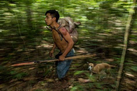 ギャラリー：アマゾン、森の先住民の知られざる日常 写真20点 ナショナルジオグラフィック日本版サイト