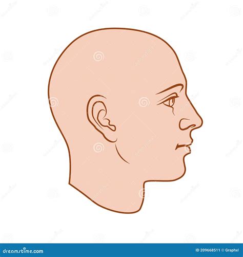 Unisex Human Head in Side View Stock Vector - Illustration of gender