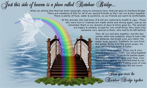 Here you will find personal support, thoughtful advice, the monday pet loss candle ceremony, tribute pages, healing poetry, the rainbow bridge poem & much more. Rainbow-Bridge---Cuddle-Clones