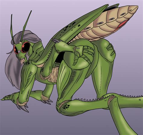 Rule 34 Dungeons And Dragons Female Insects Presenting Pussy Thri Kreen 1250555