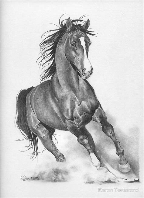 2) from the middle of the rectangle, draw one vertical and one horizontal line equally dividing the shape. Gallery For > Horse Pencil Drawing | Horse pencil drawing ...